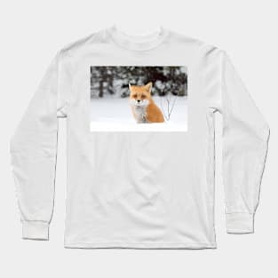 Red Fox - Algonquin Park Long Sleeve T-Shirt